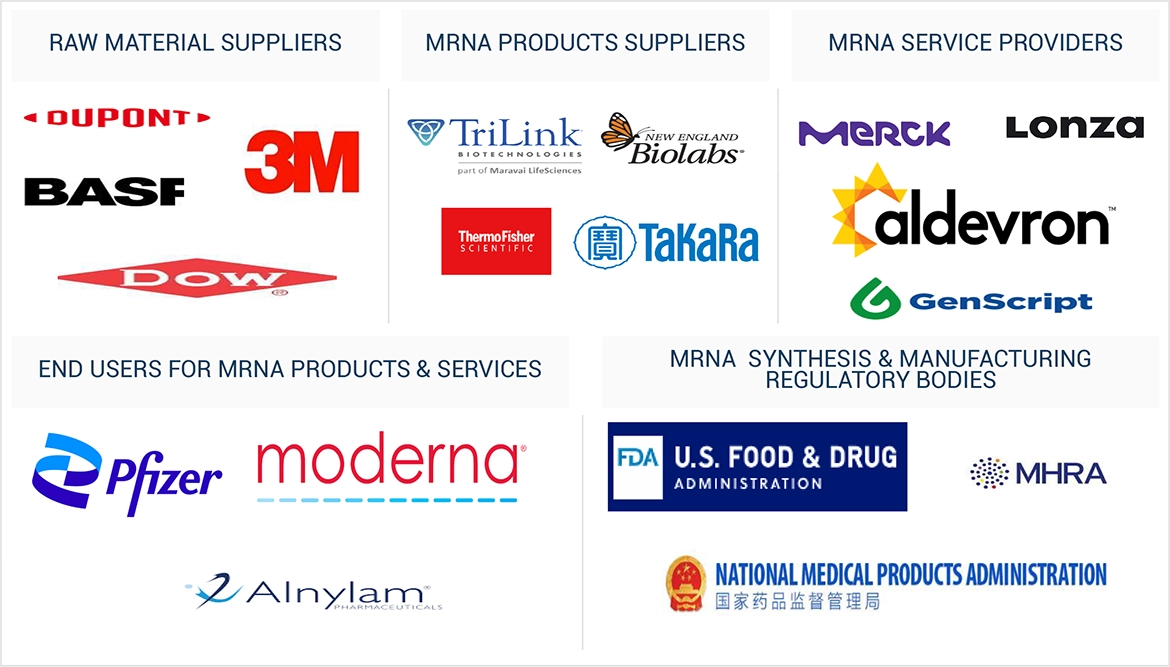 mRNA Synthesis & Manufacturing Market Ecosystem